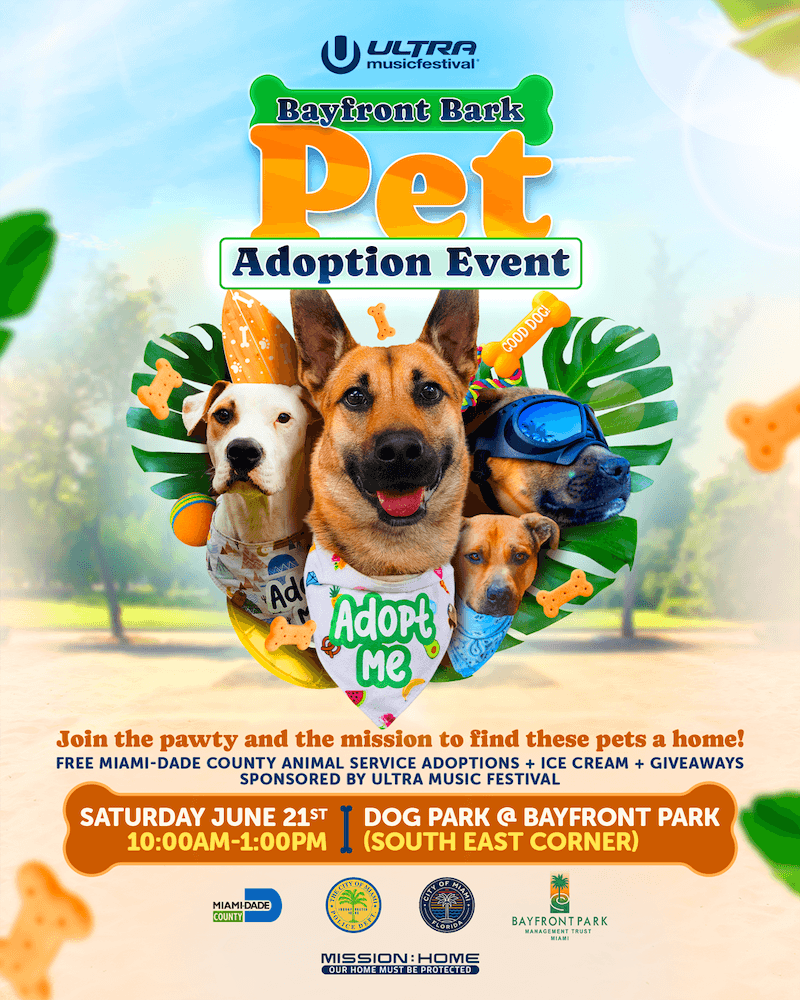 Ultra Music Festival